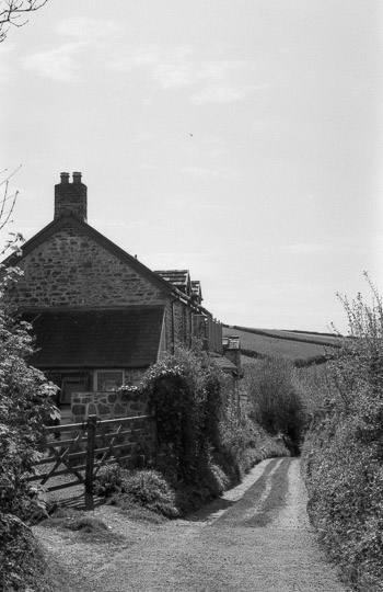 A black and white film photo of a country lane. It passes by a quiet house on the left, with a hedge on the right.
